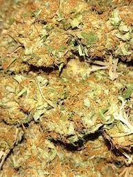 Comprar maconha colombia gold