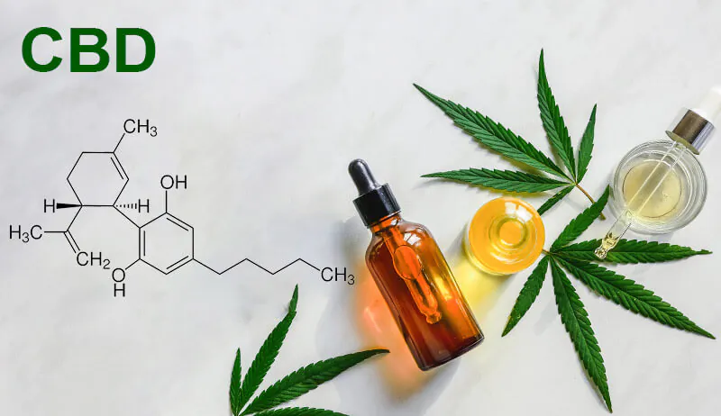 O que é Cannabidiol