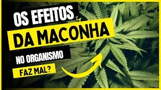 Quanto tempo a maconha fica no organismo